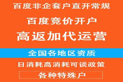 探索SEM代运营公司的经典案例与策略